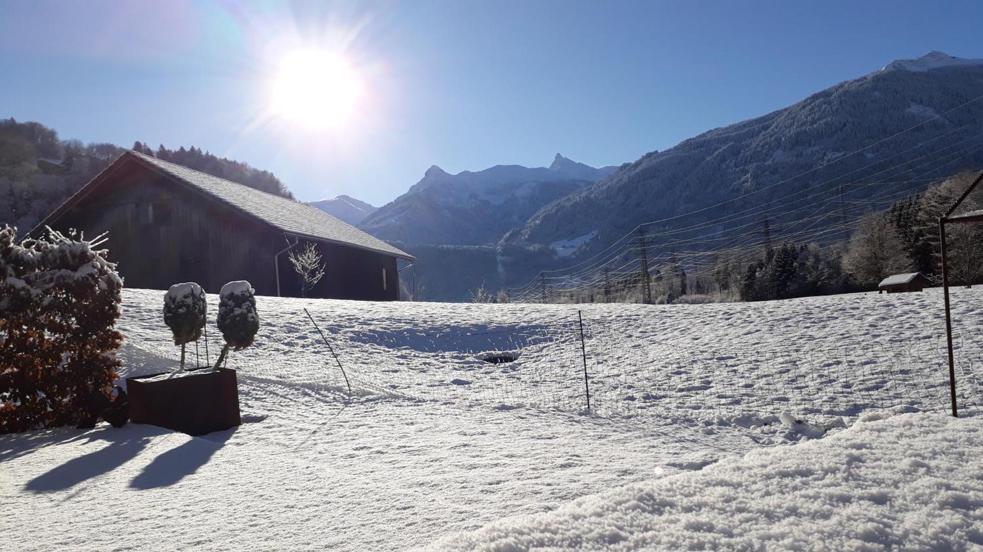 Relax & Vitalhotel Adler Schruns Buitenkant foto